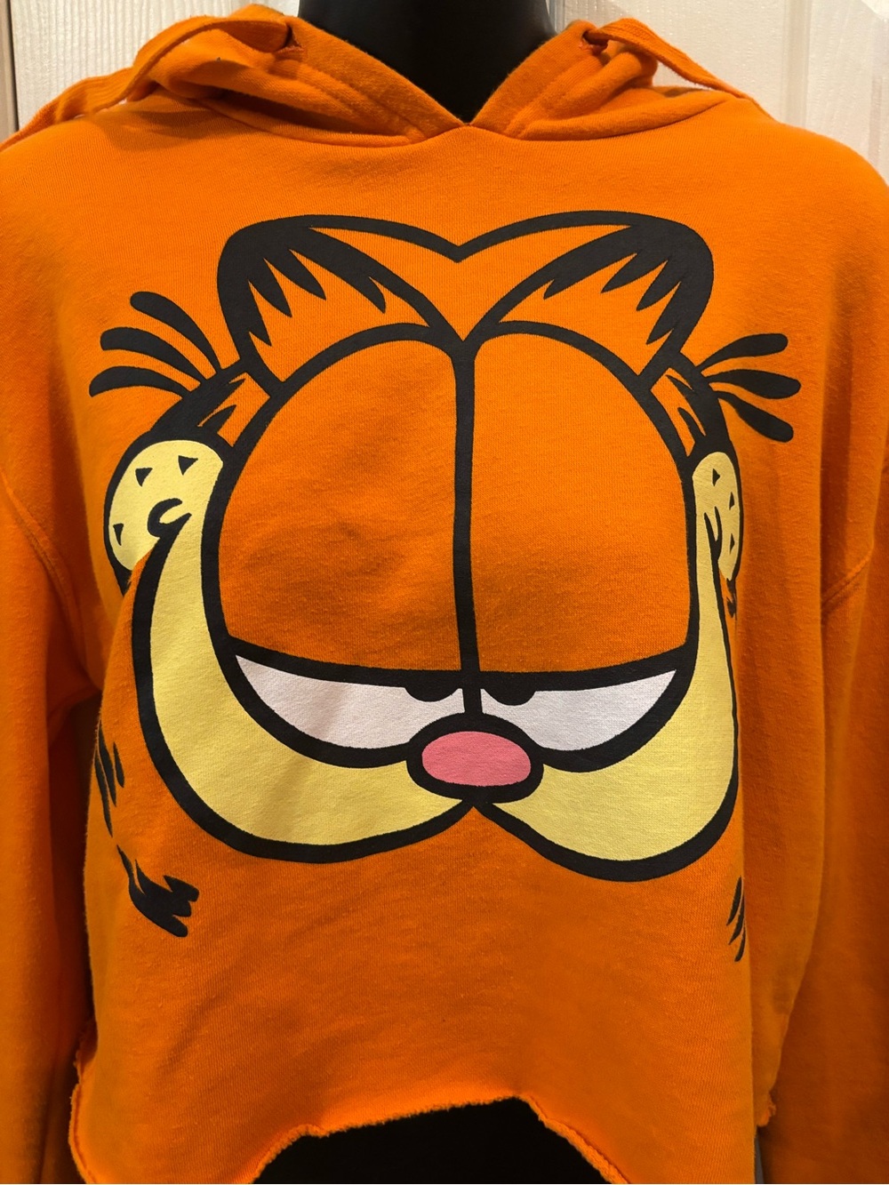 Garfield Graphic Orange Hoodie Sweatshirt